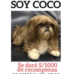 coco (Perdido)