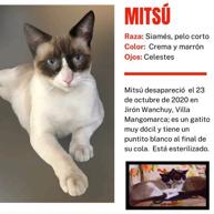 Mitsu (Perdido)