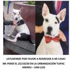 kratos (Perdido)