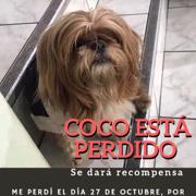 karen (Perdido)