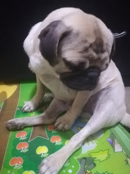 Kira (Perdido)