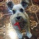 YAGO (Perdido)