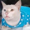 Luna (Perdido)