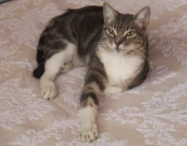 Nina (Perdido)