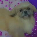 Akemy (Perdido)