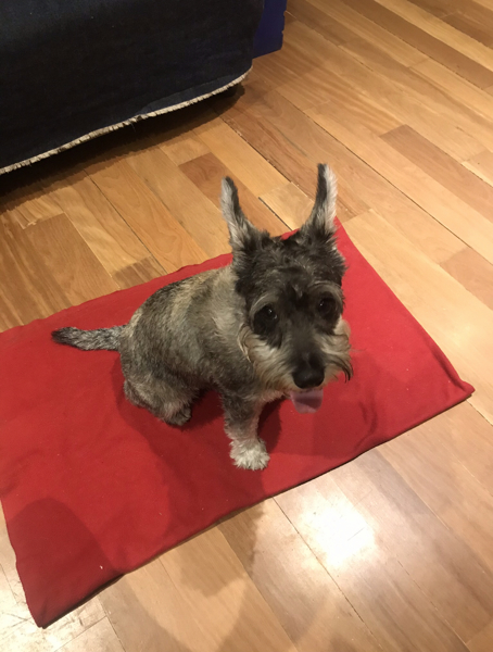 Flupo (Perdido)