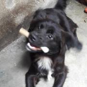 NEGO (Perdido)