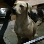 patty pachuca (Perdido)